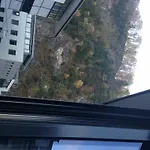 City Lägenhet